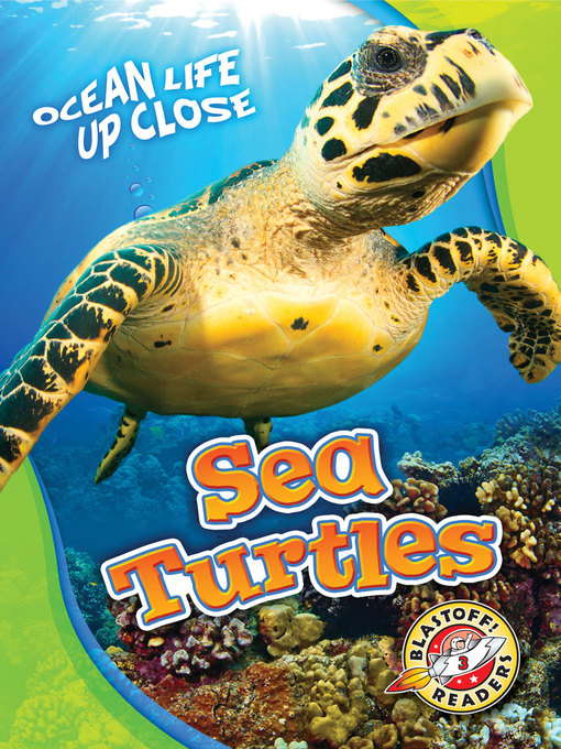 Title details for Sea Turtles by Kari Schuetz - Available